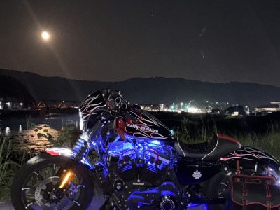 去年のリベンジ　　　スポーツスター